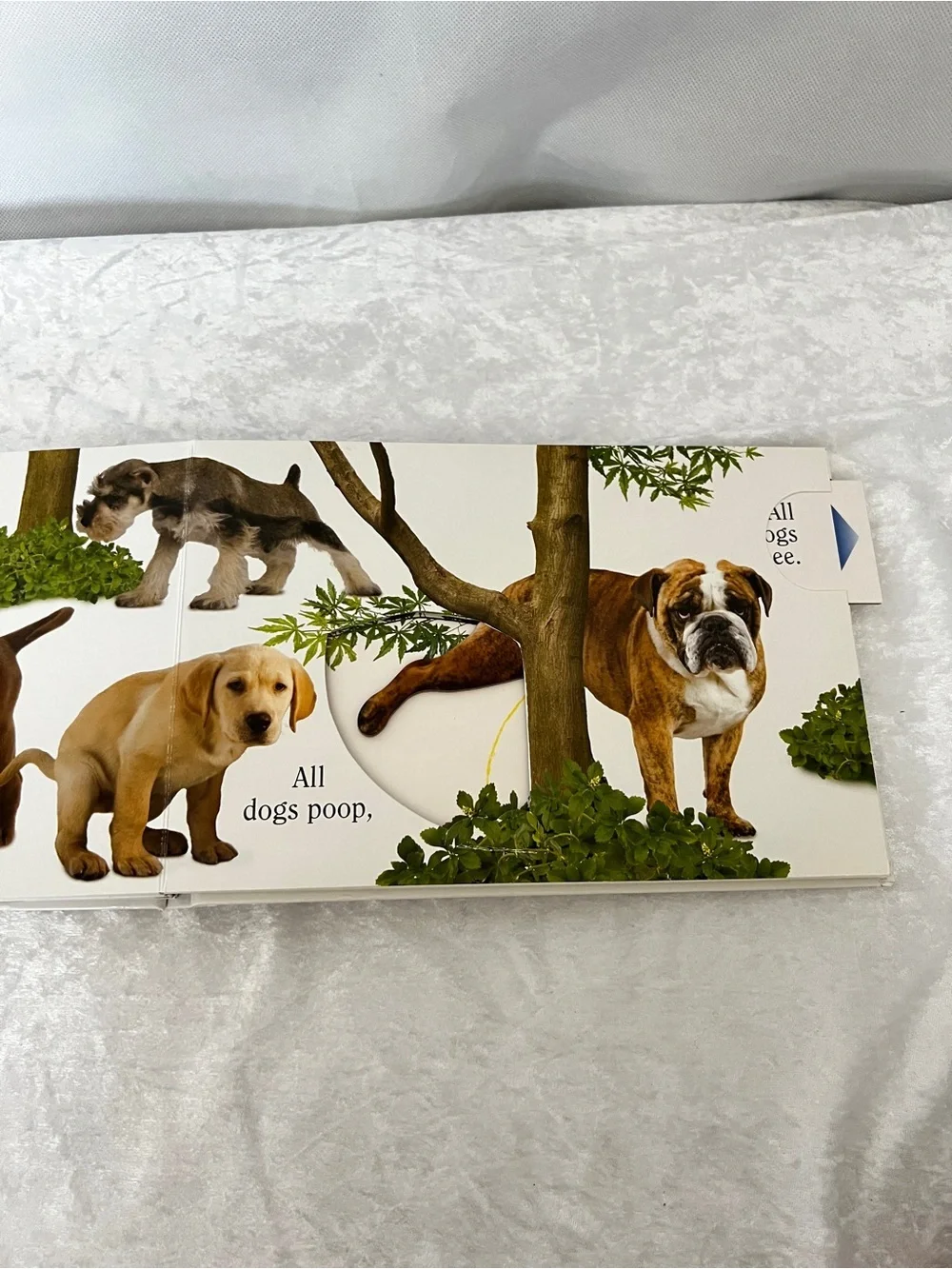 Dog Book by Matthew Van Fleet Doggone Fun for Little Ones kids
